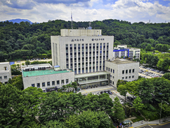 뉴스이미지15