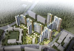 뉴스이미지17