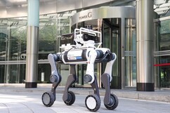 뉴스이미지11